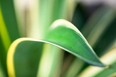 美国政客谴责动视暴雪CEO获得天价遣散费的可能性